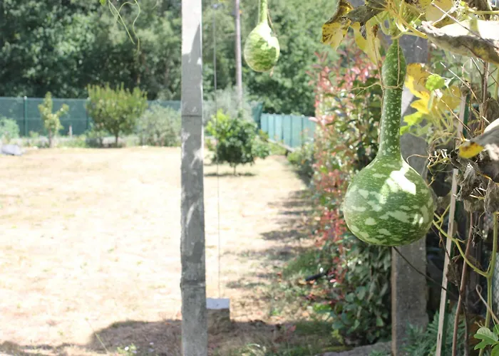 Casa Do Porto Carreiro * Oliveira de Azeméis