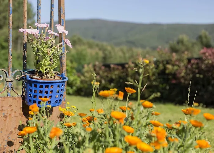 Casa Do Porto Carreiro *